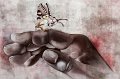 41 - The butterfly laura - BARONI ROBERTO - italy